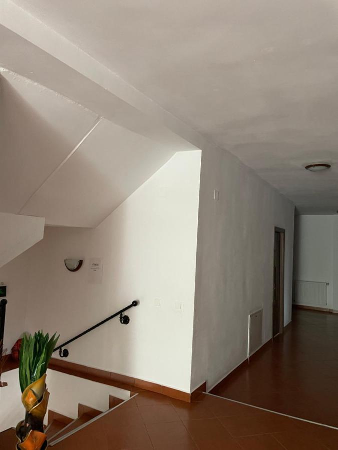 Pensiunea Andora Moieciu de Jos Exterior photo